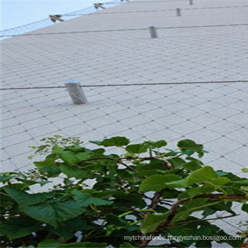 green wall climb mesh stainless steel cable netting wire mesh